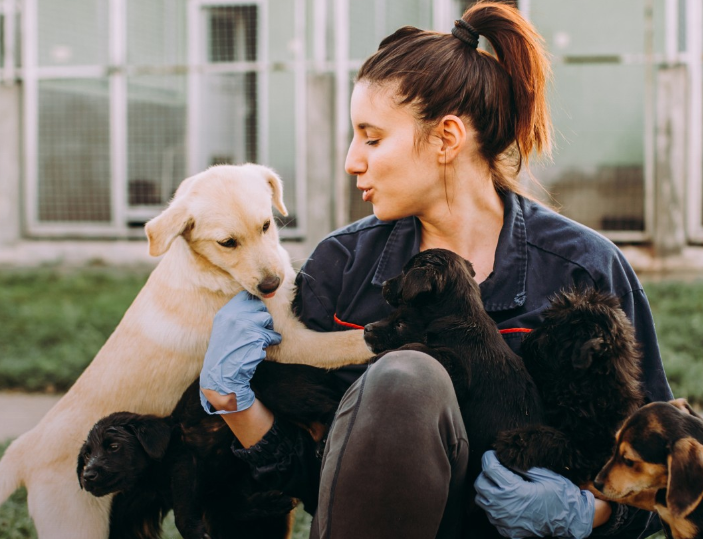 Parker Road Veterinary Hospital in Wylie, TX